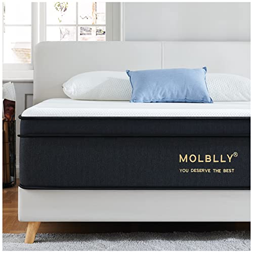 Molblly-Matelas 120 x 190-Épaisseur 22cm-Matelas de lit d'adulte-Ressorts Ensachés Indépendant-en